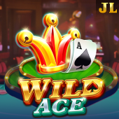 Wild Ace - Multiplier Game